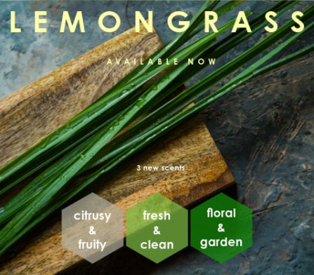 New Lemongrass Apr 2024-3
